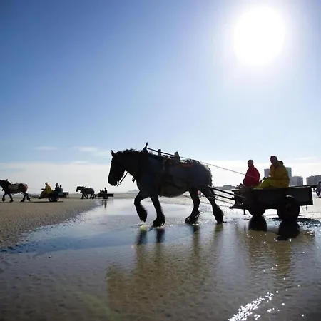 아파트 In Near Sandy Beaches, Cleaning Included *